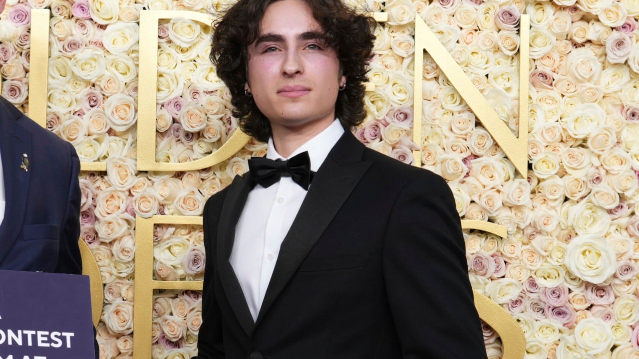 Timothee Chalamet lookalikes double take advantage of showbiz opportunities