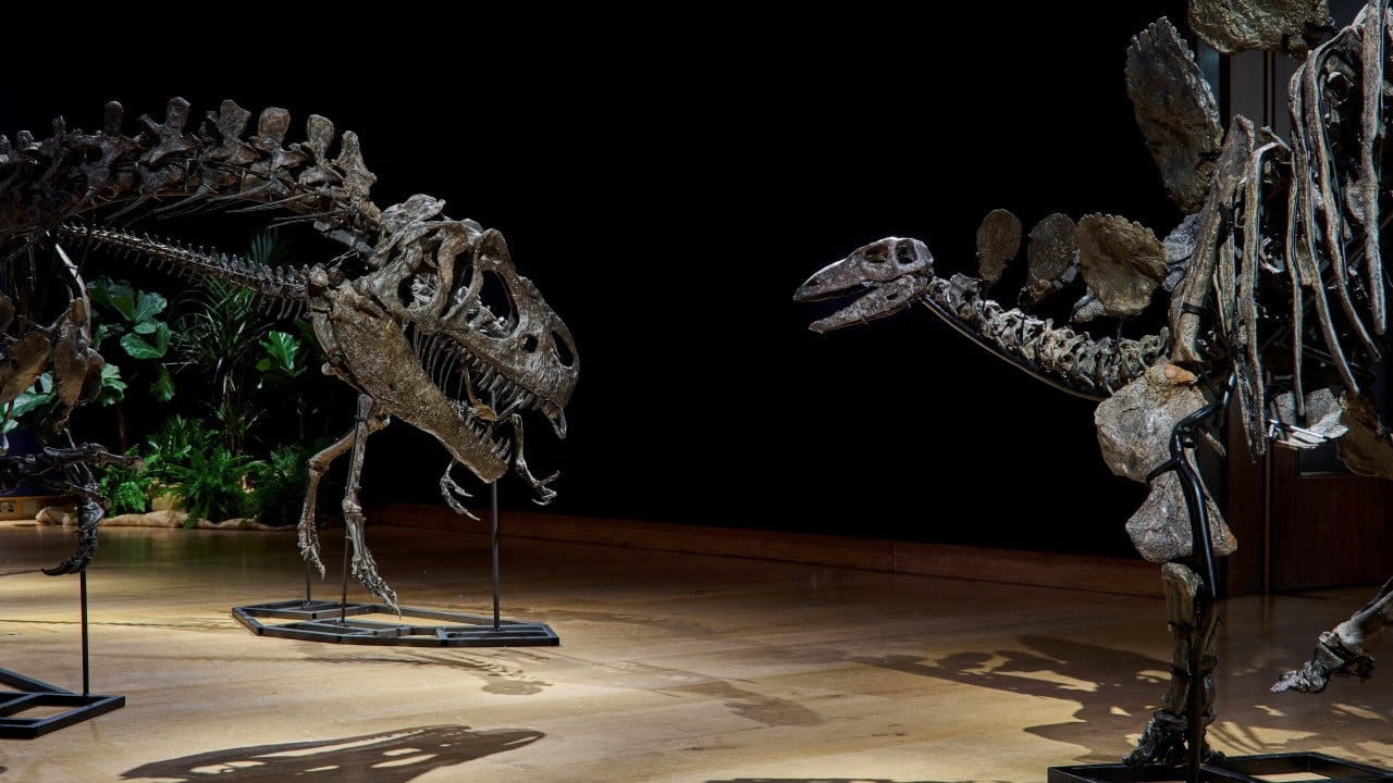 UK seizes US$15 million in dinosaur bones from Chinese money-laundering suspect