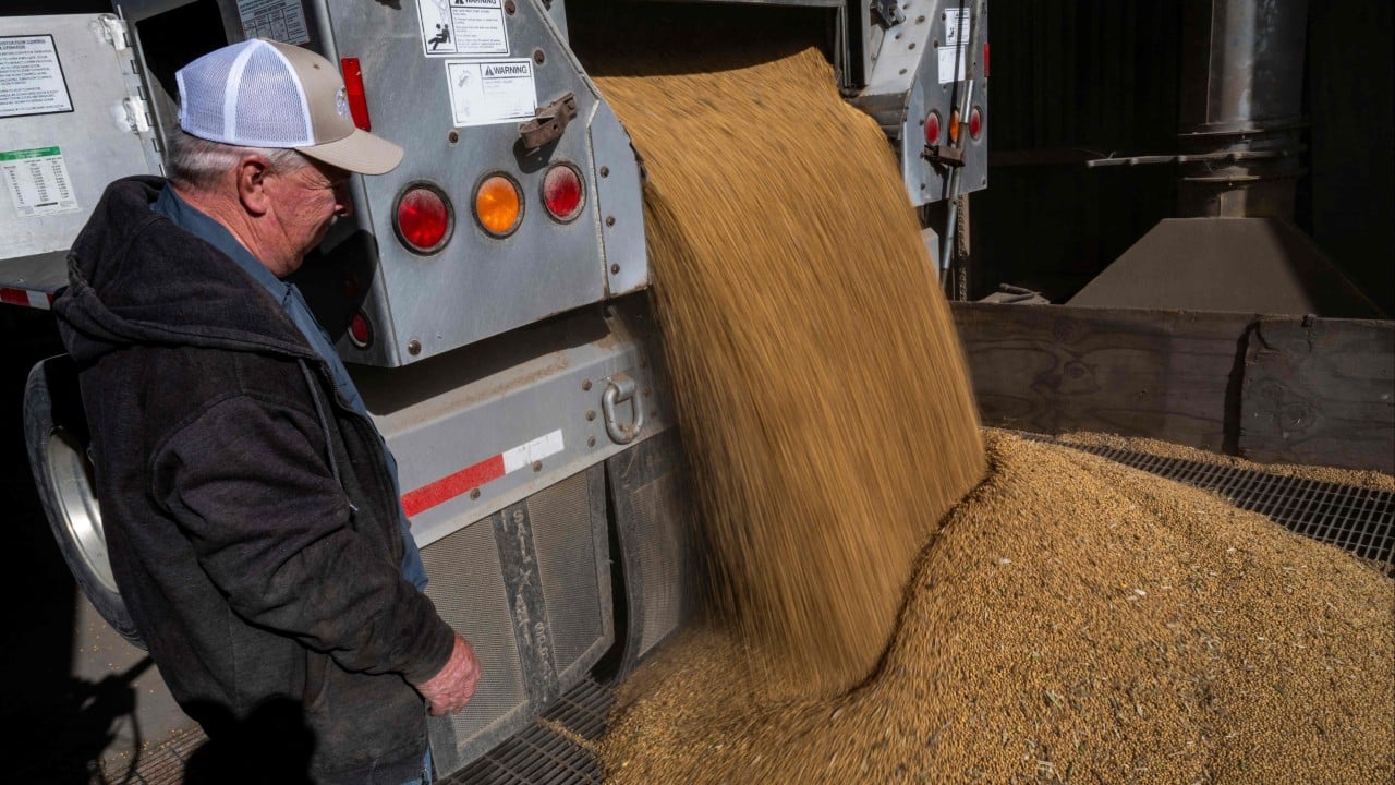 Kitajska po srečanju Trump-Xi ponovno kupuje ameriške kmetijske izdelke, vključno s pšenico