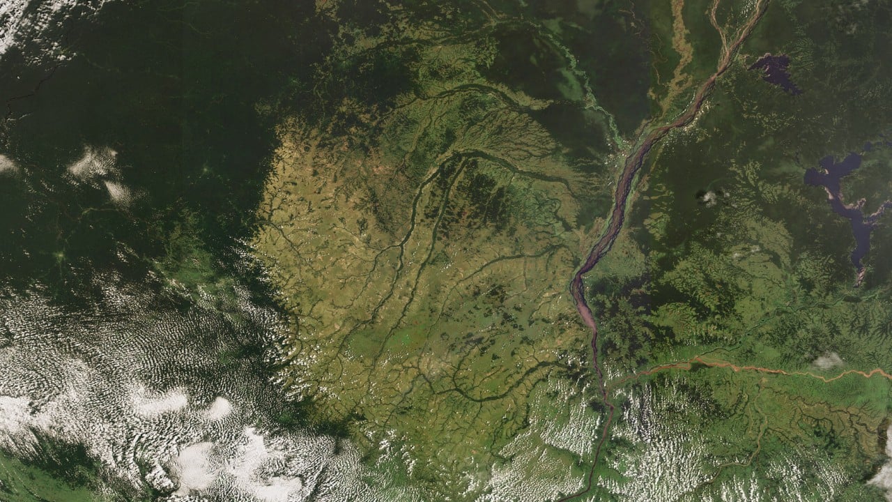 The world has a decade to save the biggest tropical carbon sink