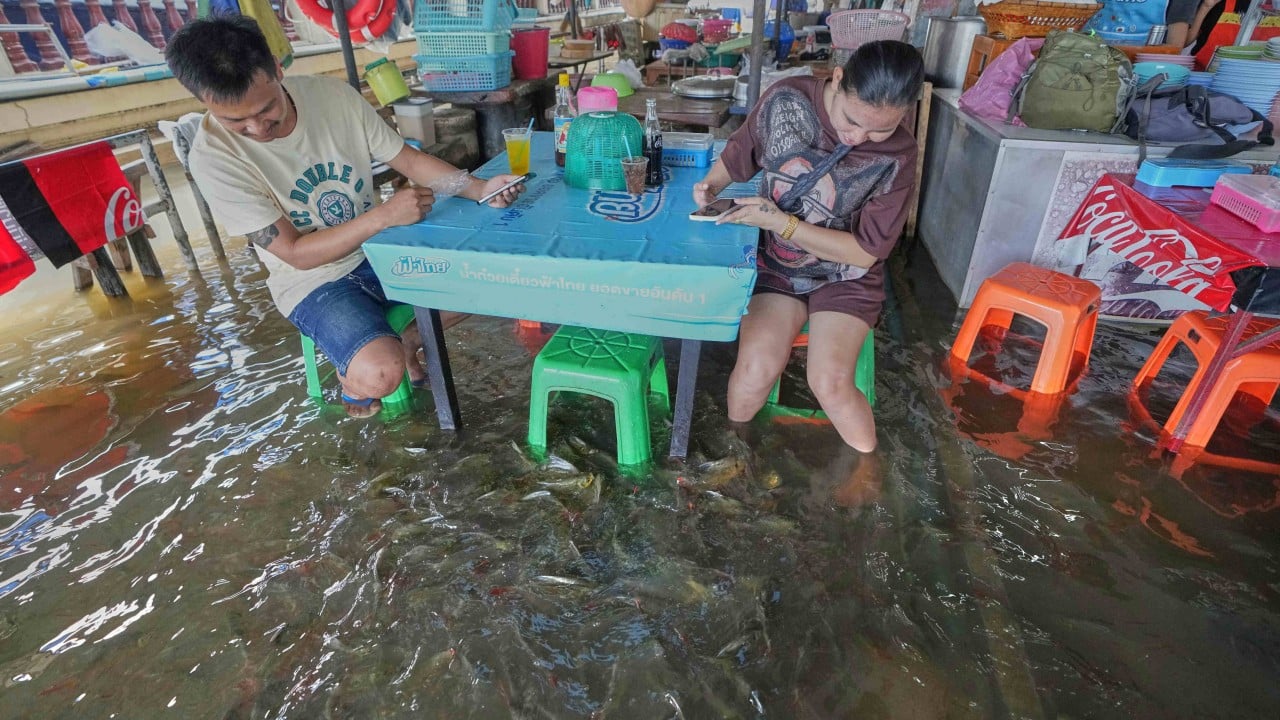 Flooded Thai restaurant lets customers dine with live fish