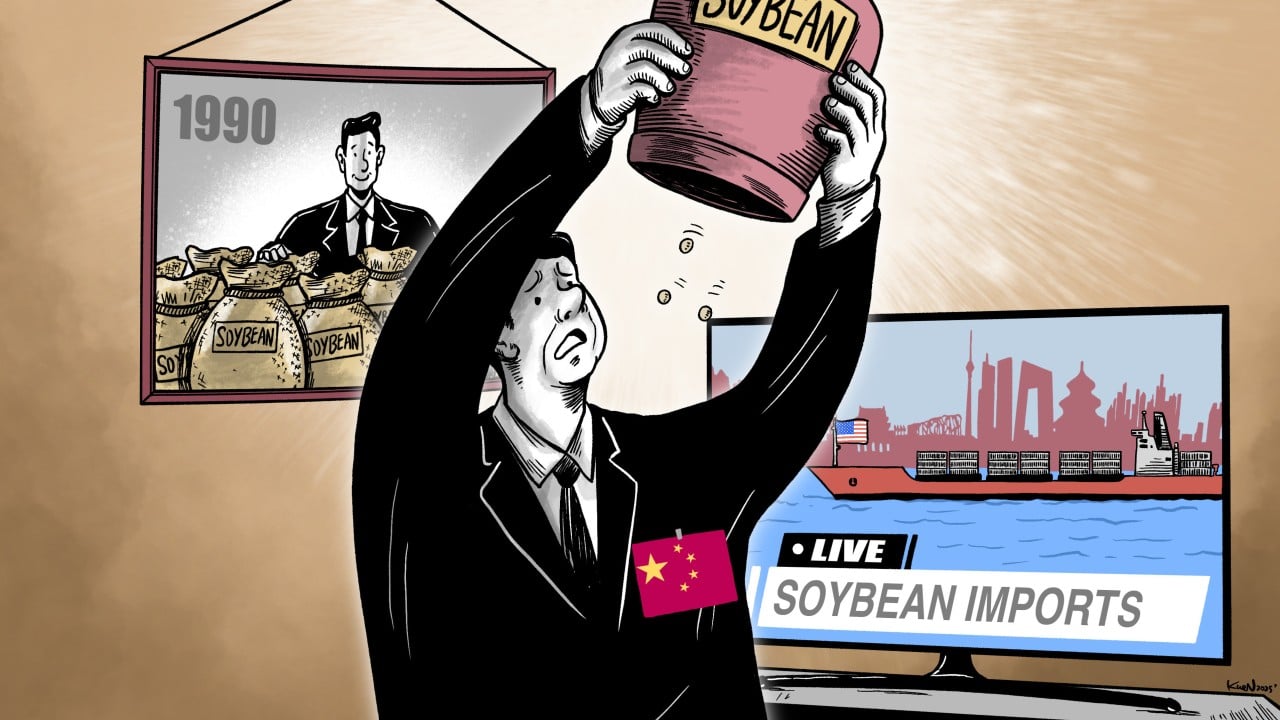 China’s soybean revolution: how it reshaped trade and tested food security