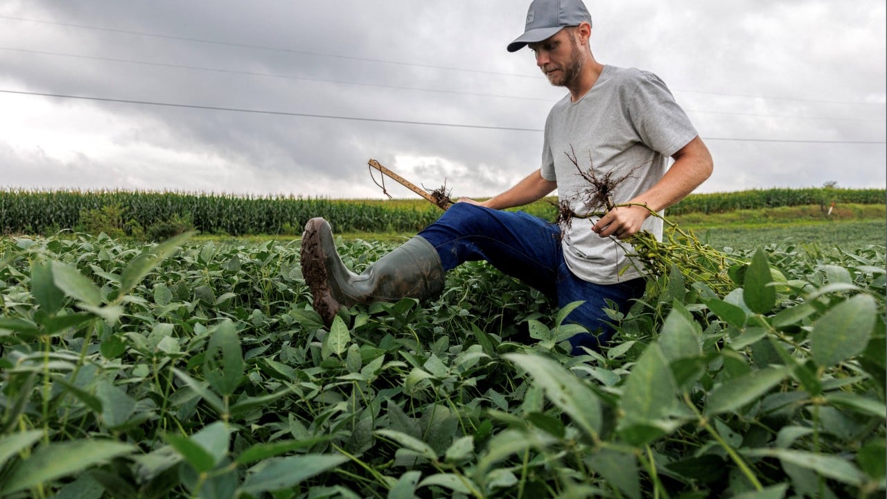 Soybean pain, Xi-Trump talks, ICE death, Hasan Piker: 7 US-China relations reads