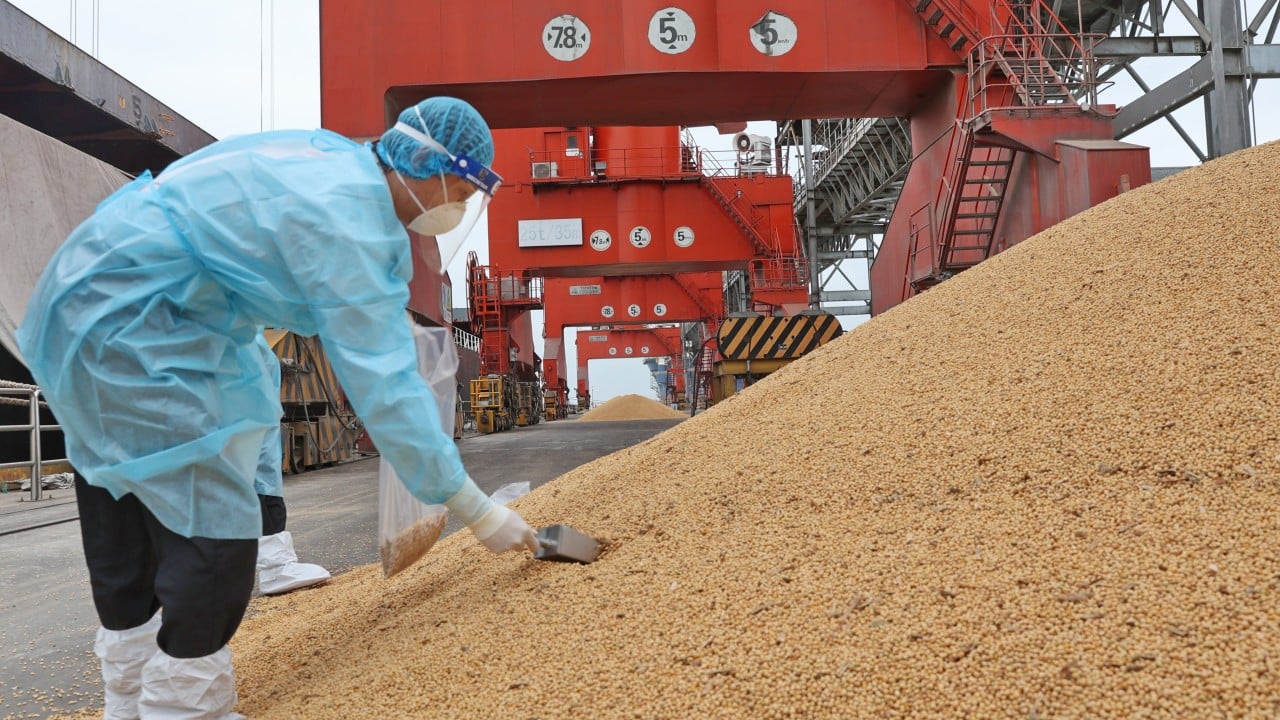 China halts soy imports from Brazil plants, pivots to US amid food safety probe