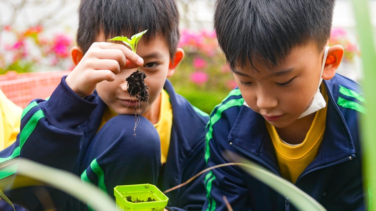 Pupils of school closed after Hong Kong fire inspired by new university homes