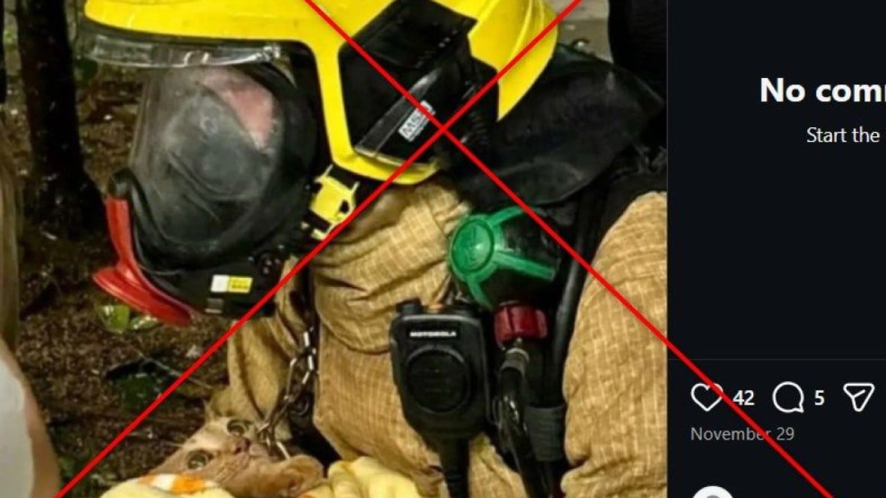 This photo of firefighter rescuing cat is not from Hong Kong’s Tai Po blaze