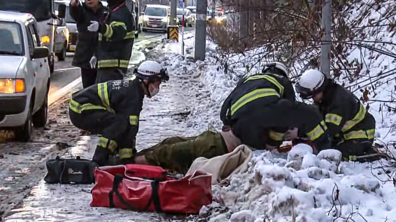 Hong Kong tourist arrested in Japan after crashing rental car, injuring driver