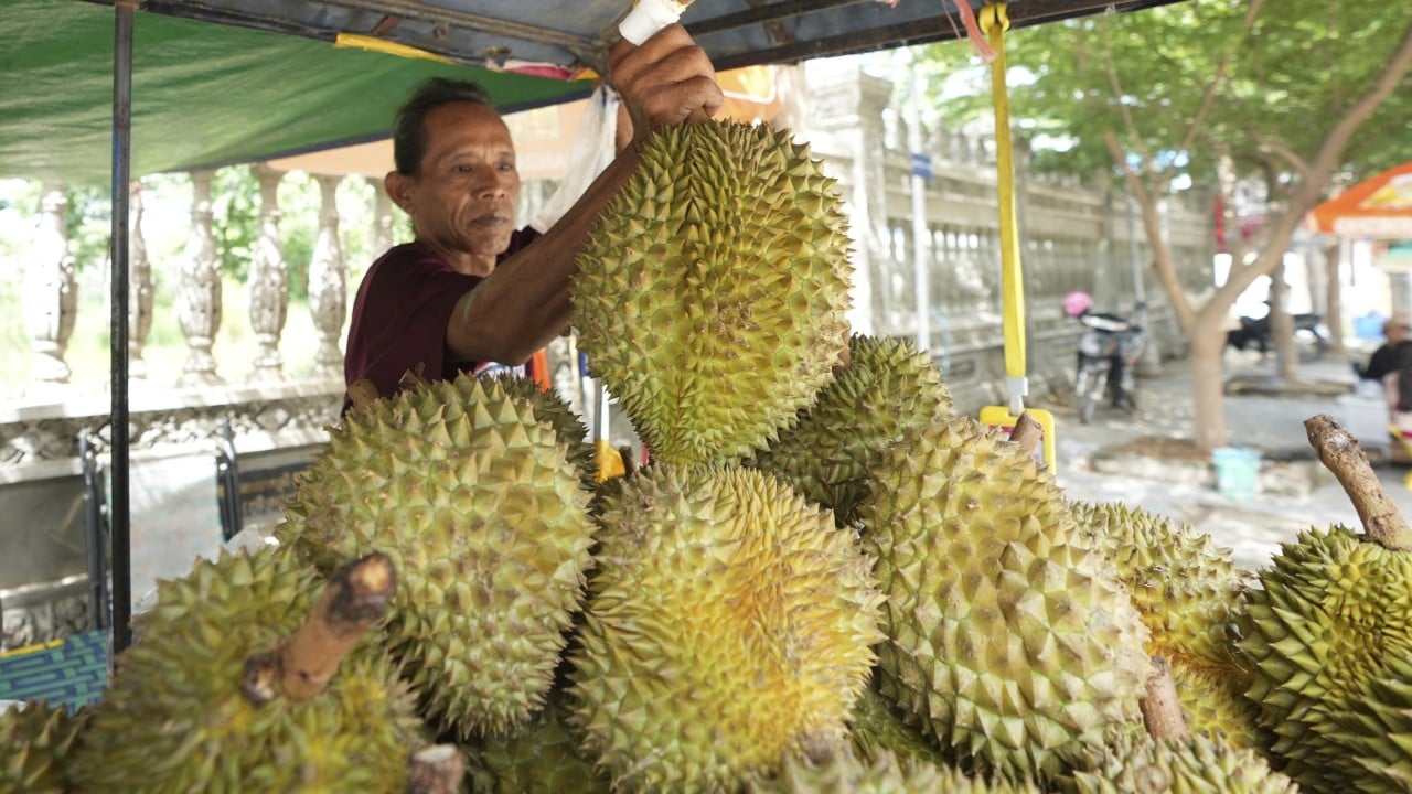 Laos cleared to export fresh durians to China as Malaysia, Thailand face new rival