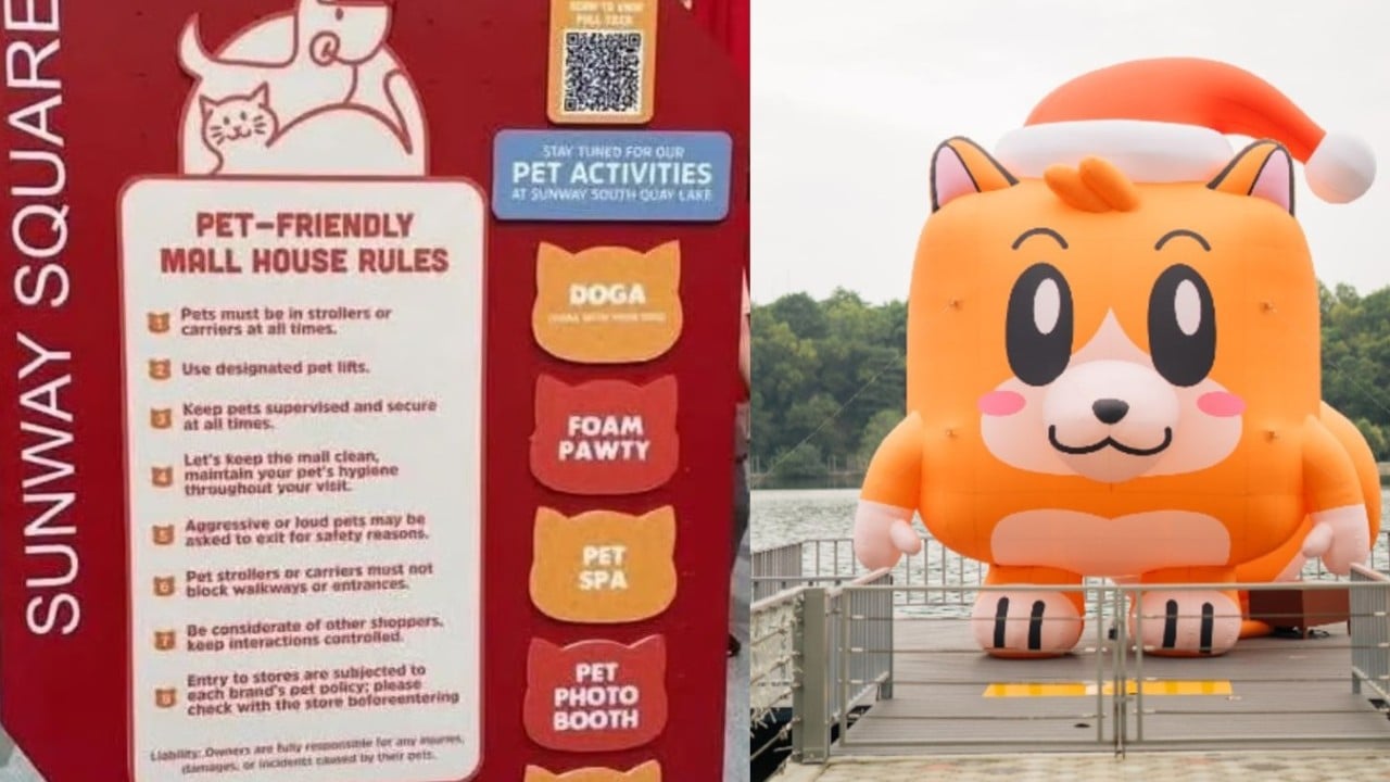 In Malaysia, uproar over mall’s pet-friendly policy forces U-turn