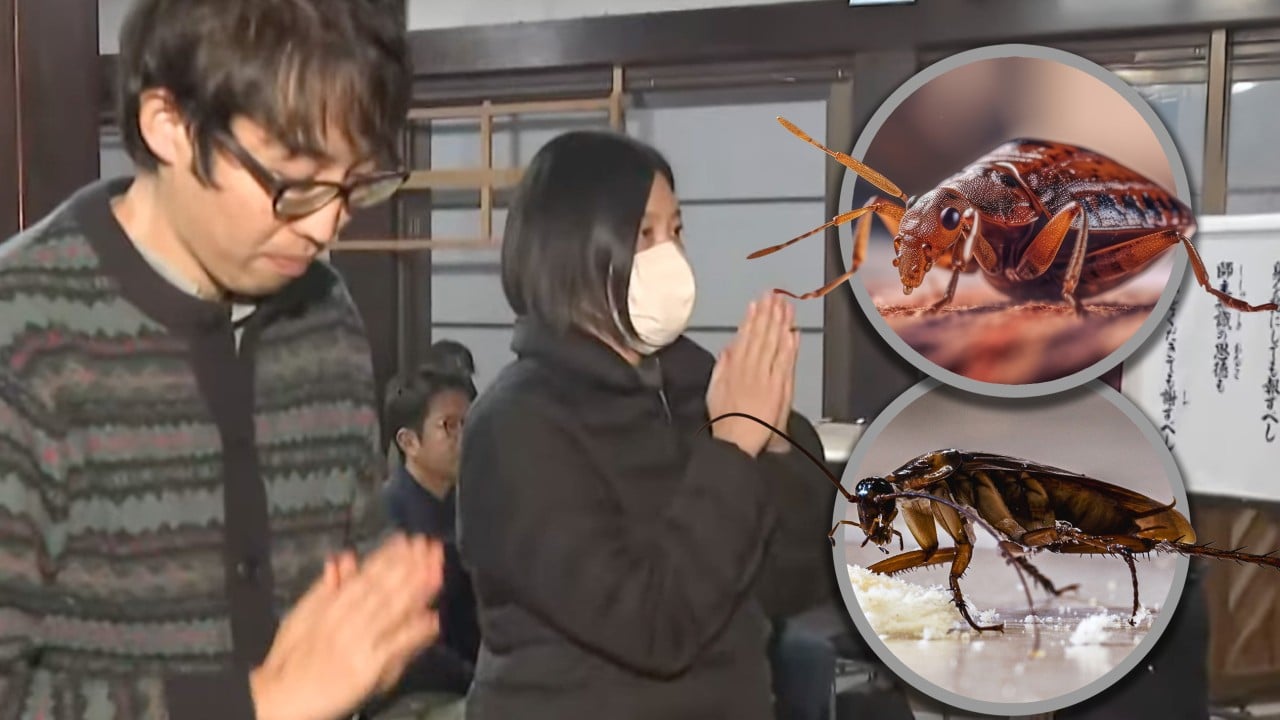 Japan insecticide firm holds memorial service to honour bugs killed during product testing