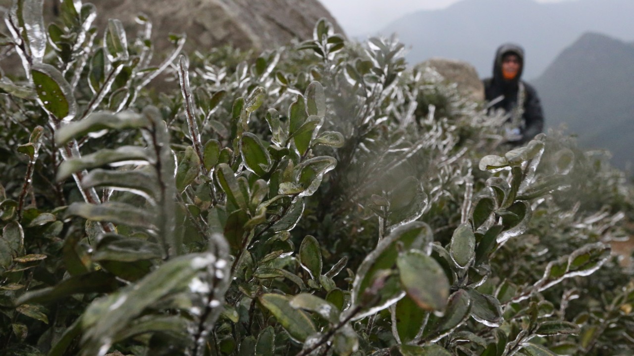 In 2016, Hong Kong shivered through coldest day in 6 decades – SCMP archive