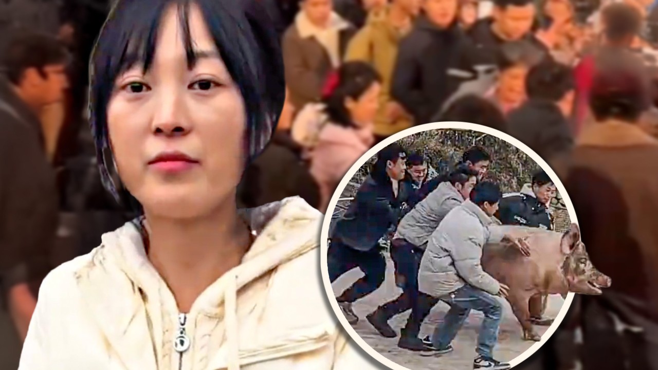 Chinese woman seeks online help to slaughter pigs, attracting over 1,000 volunteers to her farm
