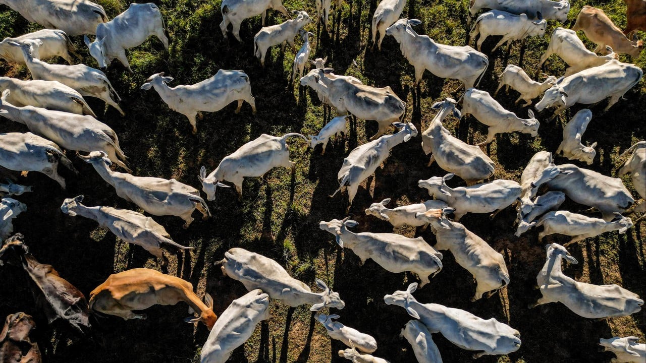 Brazil-China trade hits record US$171 billion in 2025 as US tariffs prompt export pivot插图 Brazil-China trade hits record US$171 billion in 2025 as US tariffs prompt export pivot插图