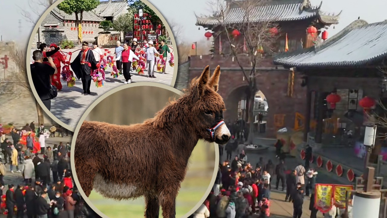 Nearly all residents in historic China village act in local TV miniseries; even livestock are hired