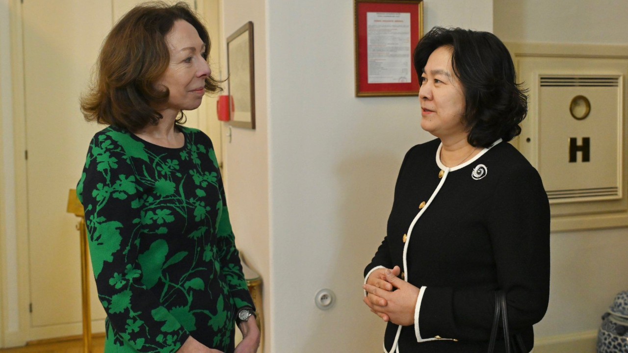 China’s charm offensive: Beijing bypasses Brussels in bid to soften EU trade push