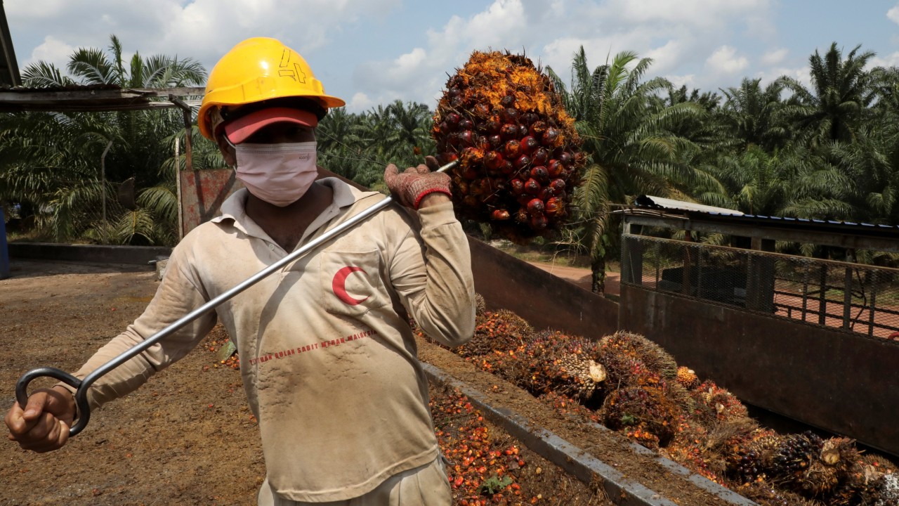 Malaysians’ foreign-policy satire, Japan’s fighter jet project boost: 7 Asia highlights