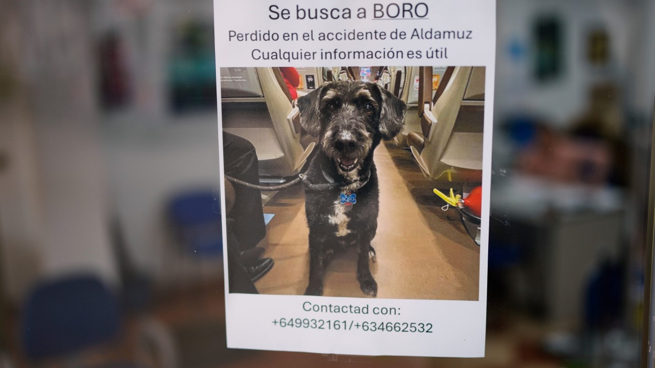 After Spain train crash, search for missing dog grips the nation: ‘he is family’