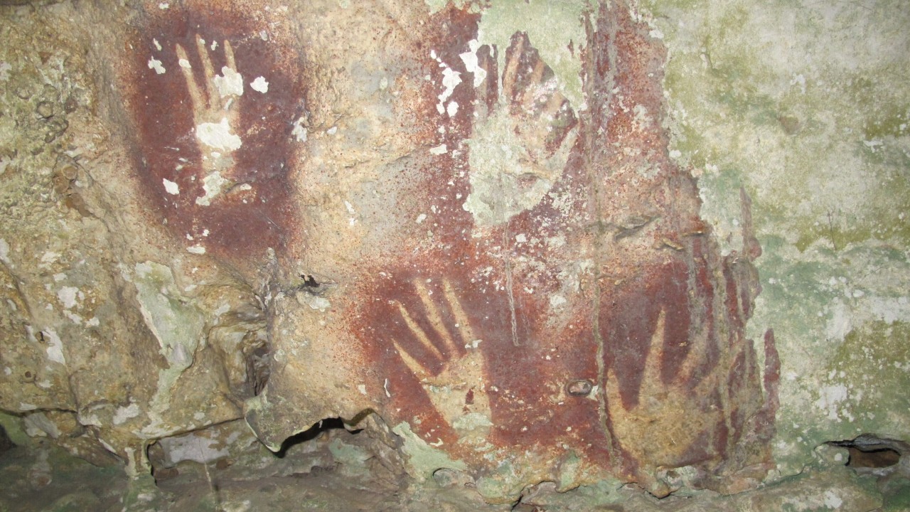 World’s oldest cave art discovered in Indonesia