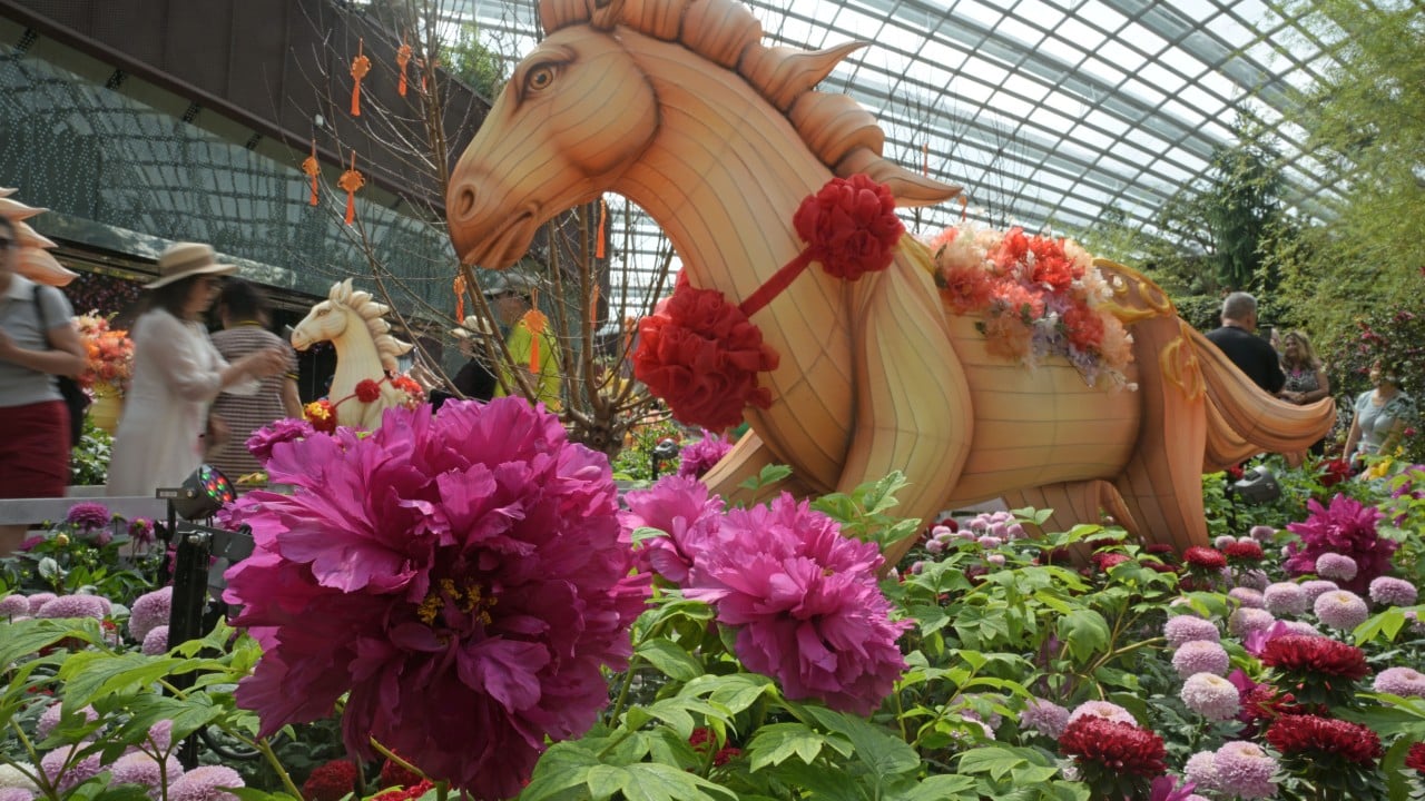 Businesses in Malaysia’s Johor prepare for Singaporeans’ Lunar New Year shopping spree插图 Businesses in Malaysia’s Johor prepare for Singaporeans’ Lunar New Year shopping spree插图