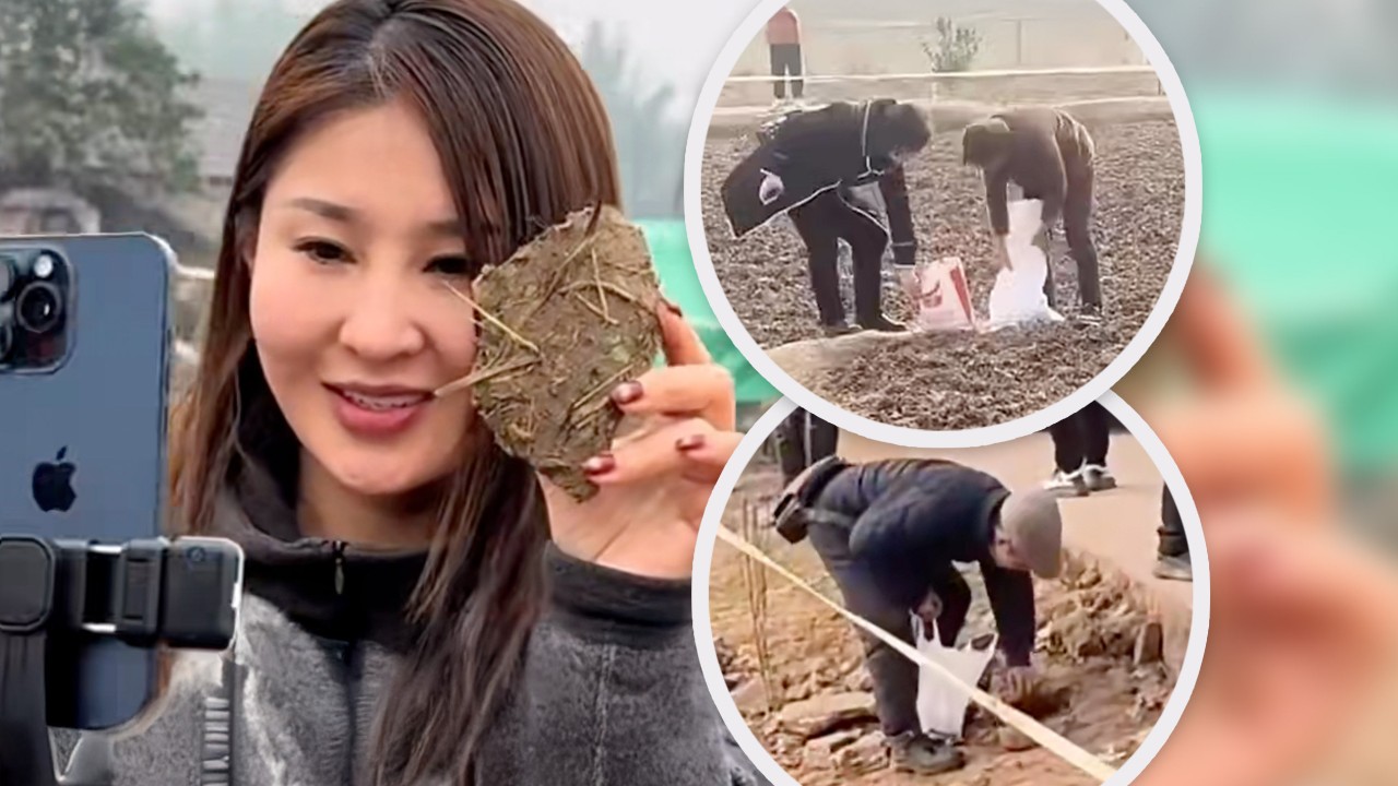 China woman’s online fame from slaughtering pigs turns soil in nearby land into ‘lucky charm’