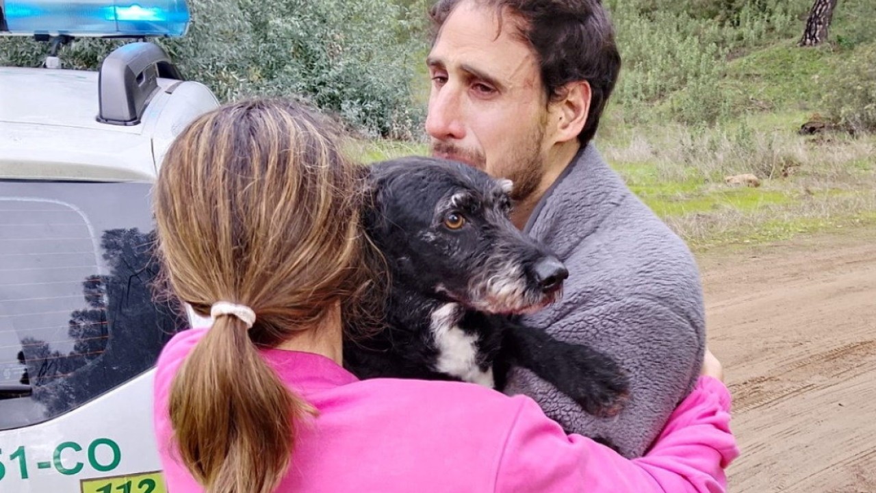 After fatal rail accident, missing dog Boro that captivated Spain is found
