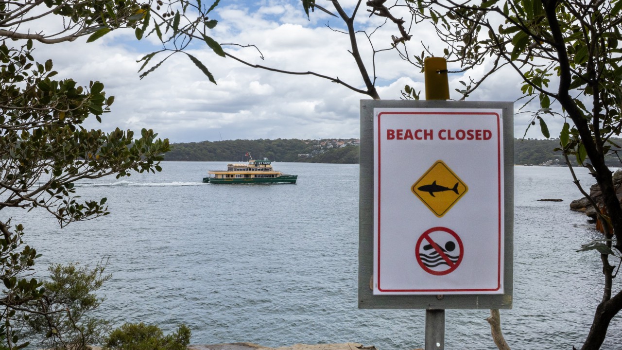 Australian boy, 12, dies a week after shark attack in Sydney Harbour