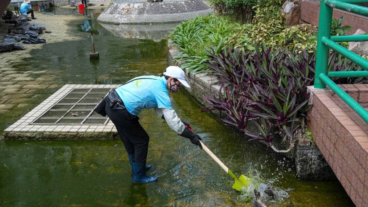 Hong Kong police probe pond cleaning operation that killed more than 100 fish