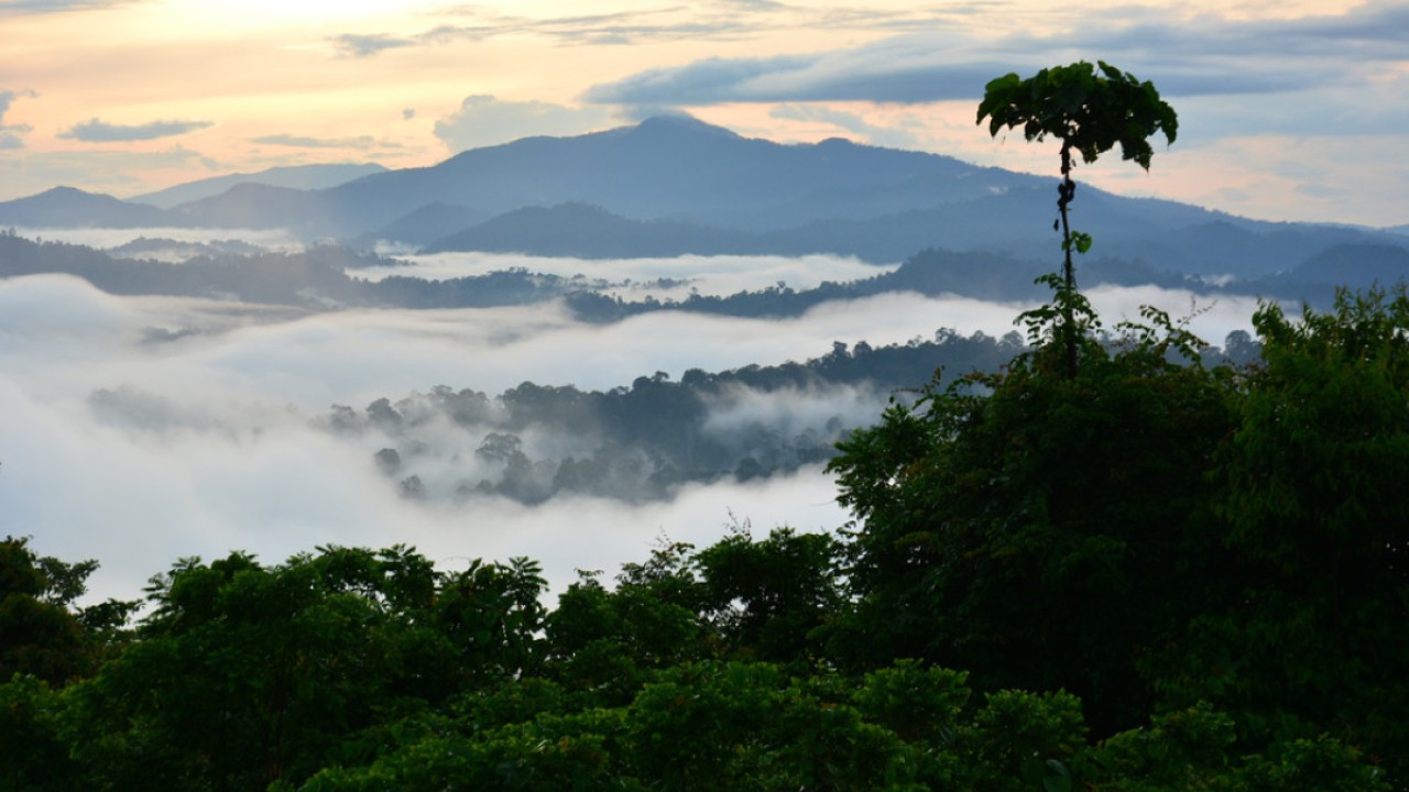 Malaysia disputes Indonesian media reports on Sabah border, says talks ongoing