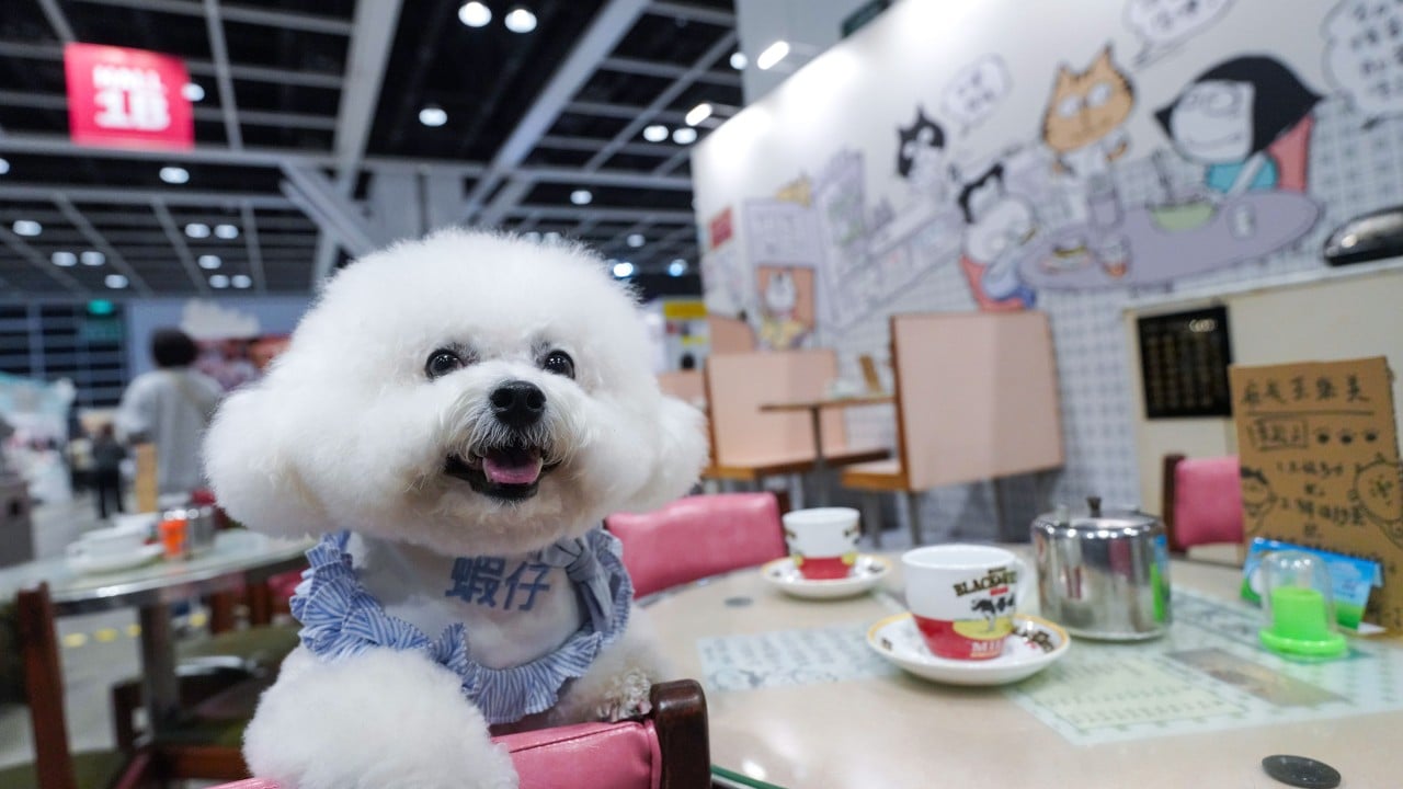 Pawsitively posh: Hong Kong Pet Show takes luxury to new heights
