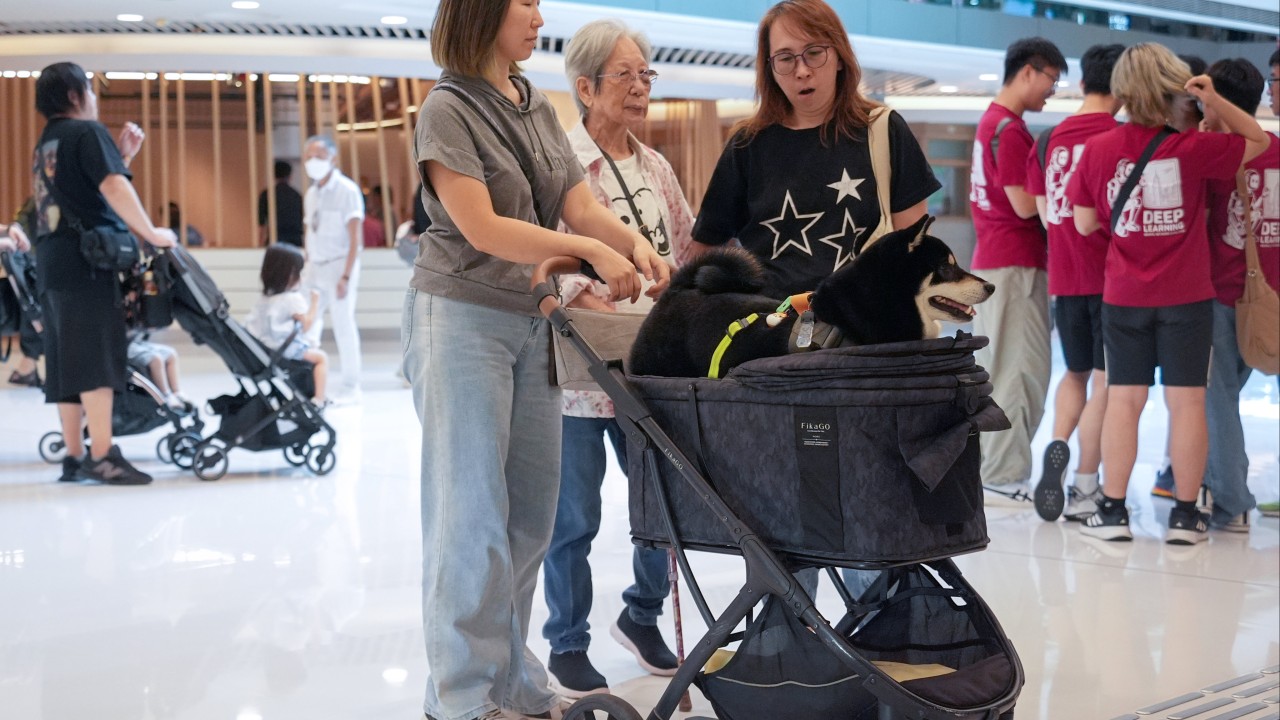 Hong Kong’s first dog-friendly restaurants could be opening sooner than you think
