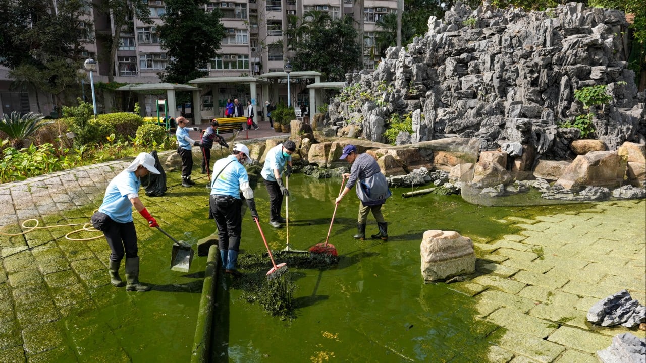Hong Kong supervisor held over cruelty after botched pond clean-up kills 110 fish