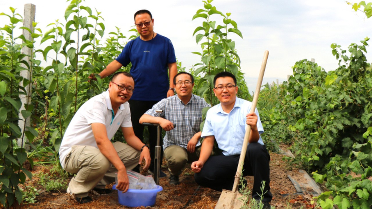 It is ‘flourishing’: China’s man-made forest in Gobi produces good rubber for military use