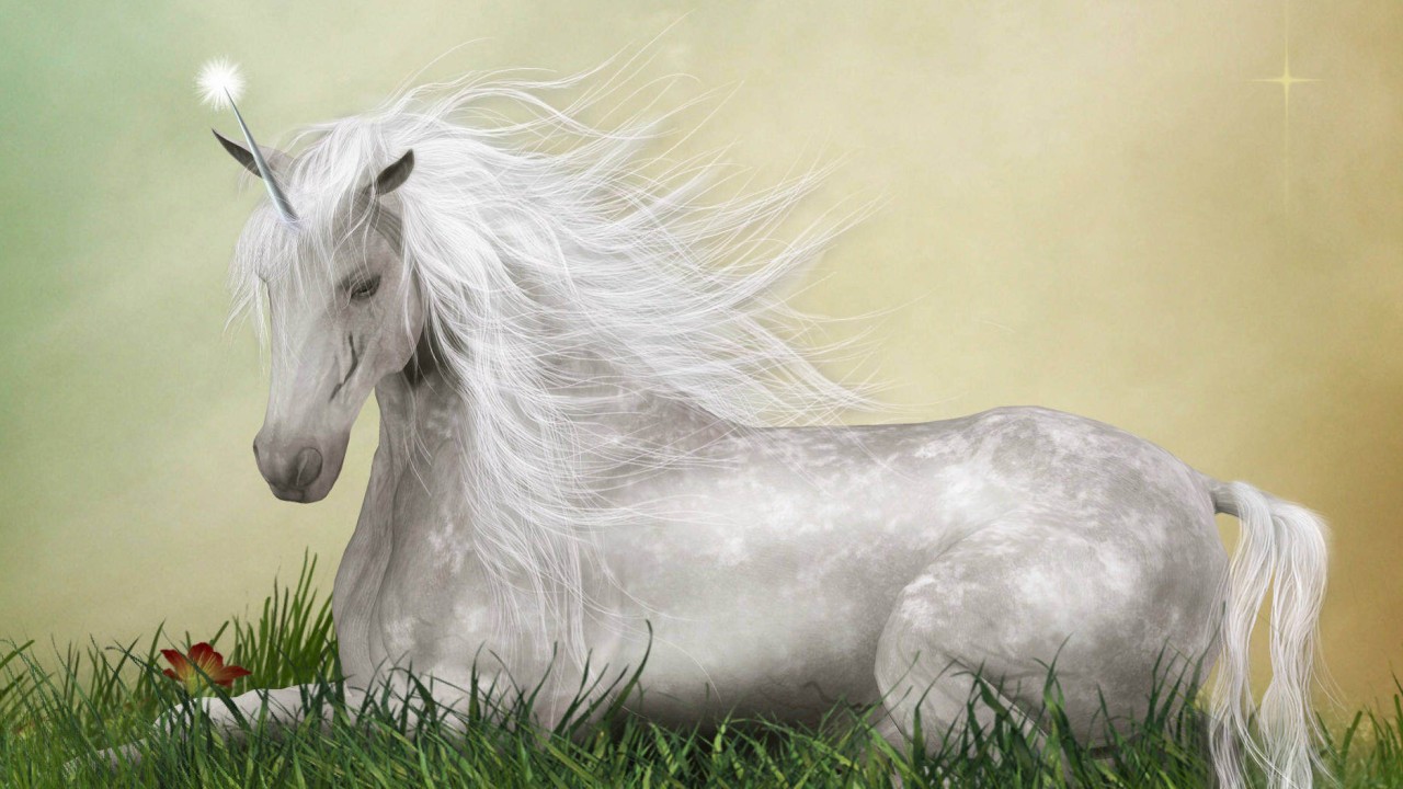 The magic of unicorns: why this mythical horned horse still has us under its spell