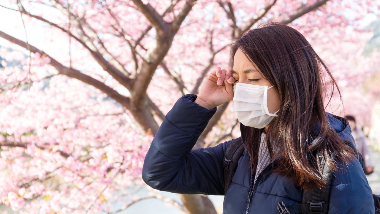 As Japan enters hay fever season, pollen levels may surge due to ‘horribly high’ summer插图