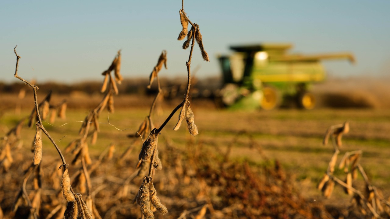 China failed to hit soybean meal dependence targets last year. US deal makes it harder