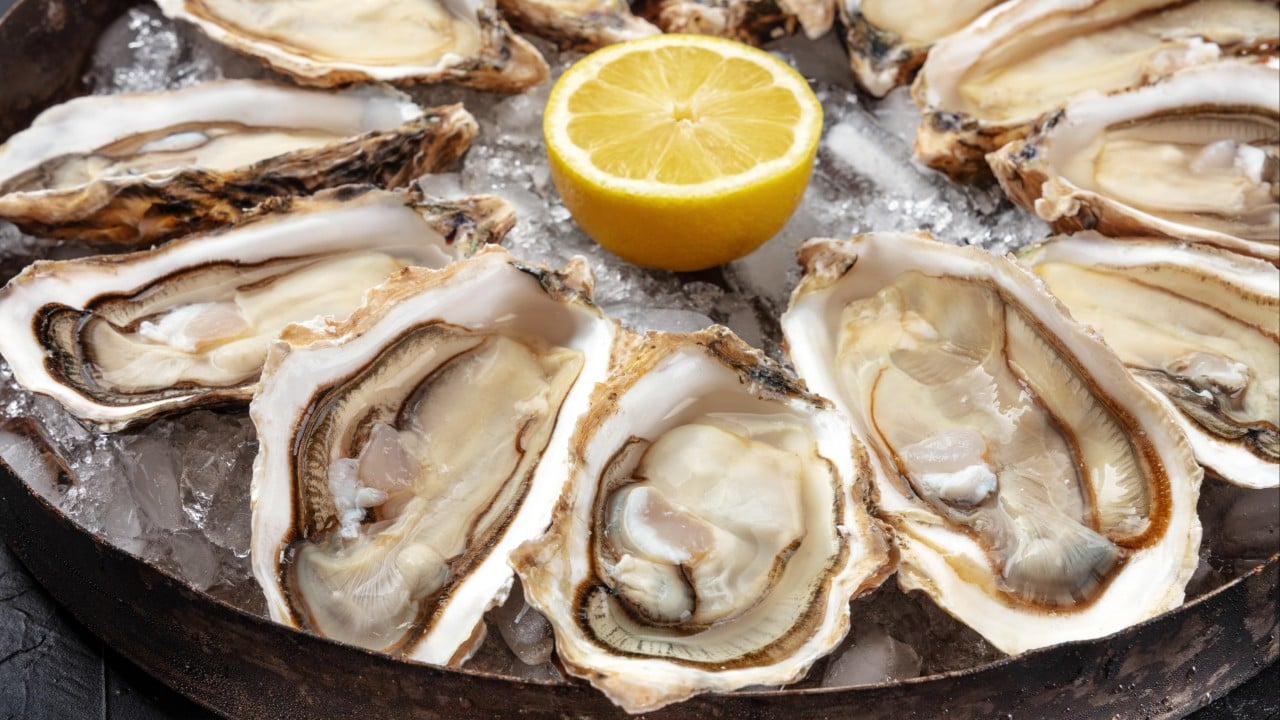 Does eating raw oysters put Hongkongers at risk of norovirus?