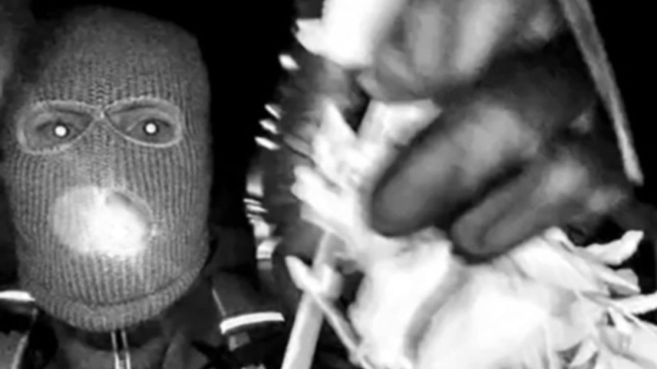 Nancy Guthrie disappearance: FBI releases images of masked person