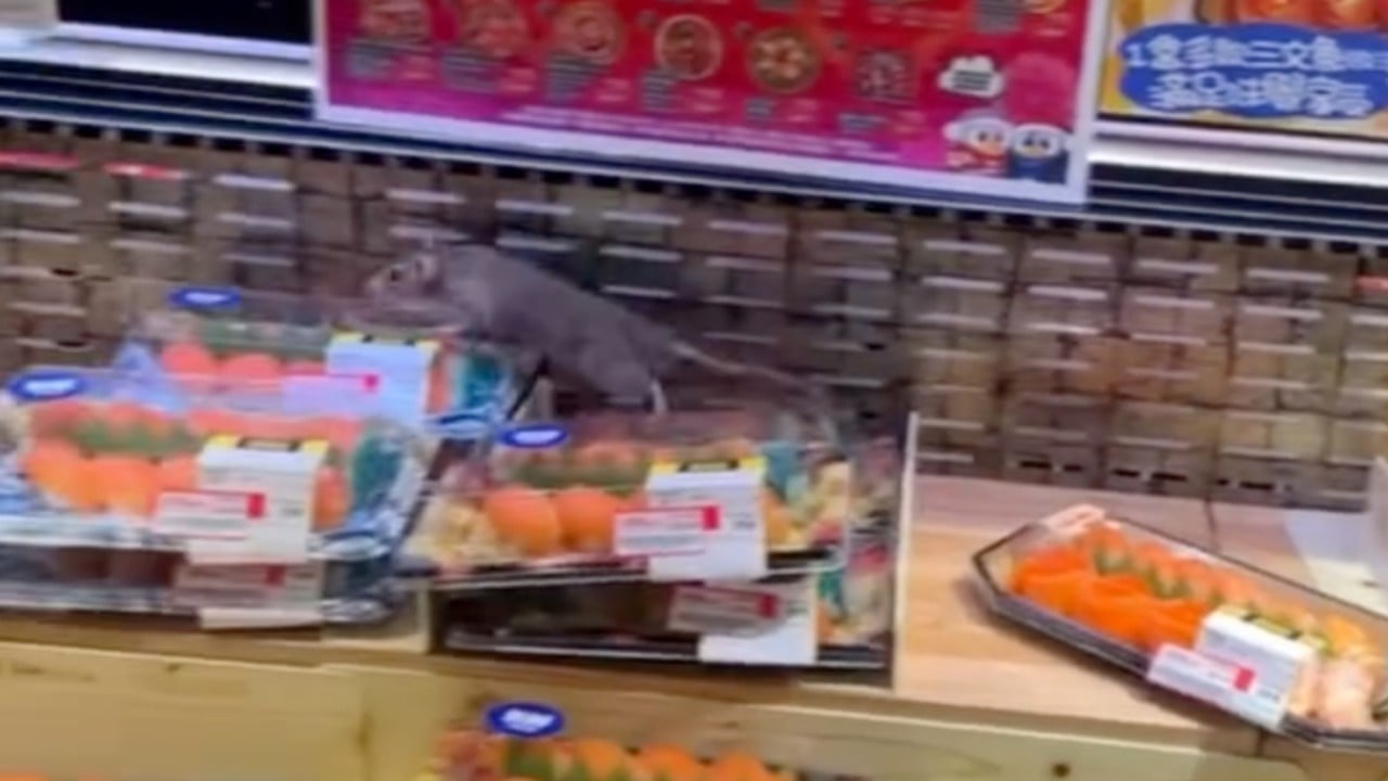 Rat in Don Don Donki sushi chiller sparks outcry over Hong Kong hygiene standards