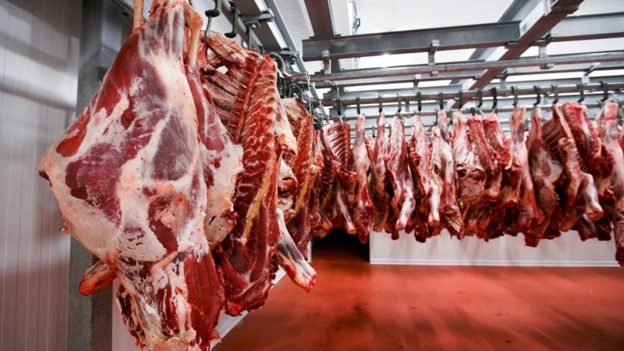 Brazil races to China beef cap as 55% tariff risks price collapse