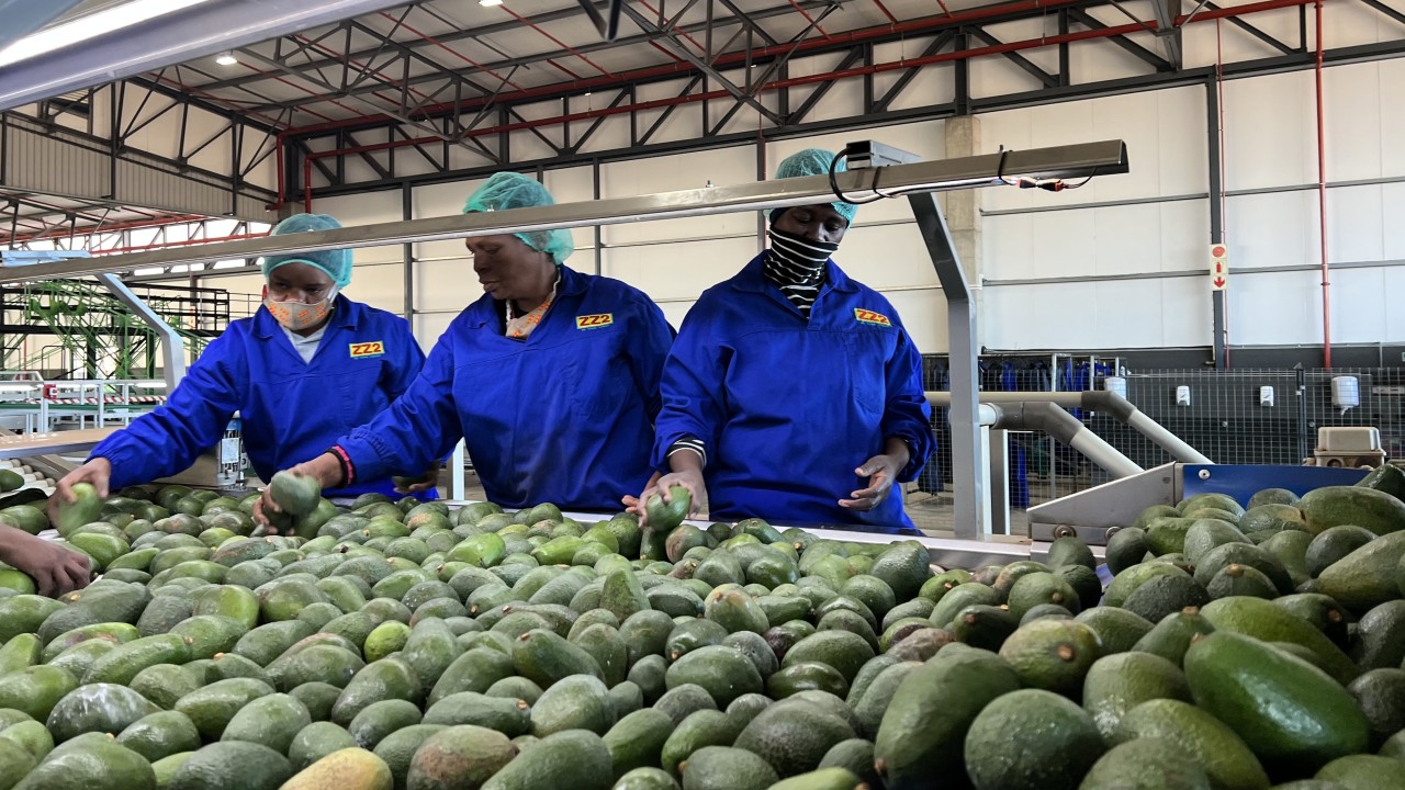 China says it won’t seek reciprocity with South Africa on zero-tariff policy