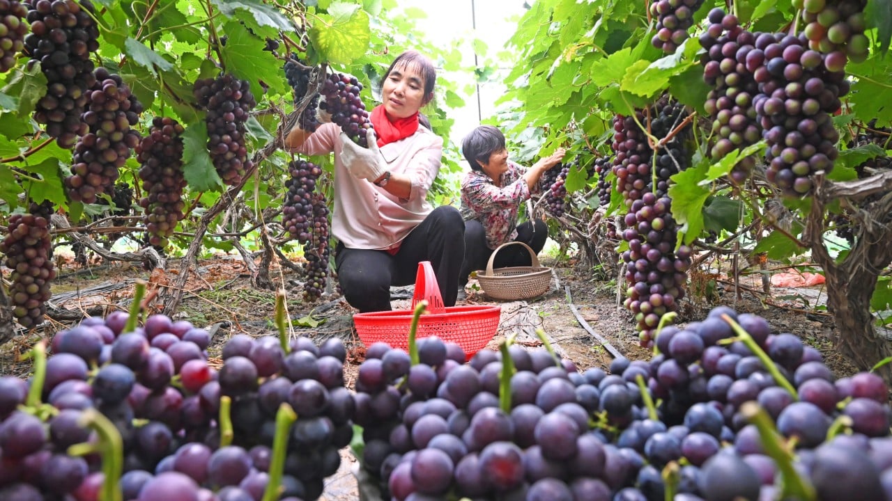 China seeks to cultivate a food supply immune to geopolitical shocks