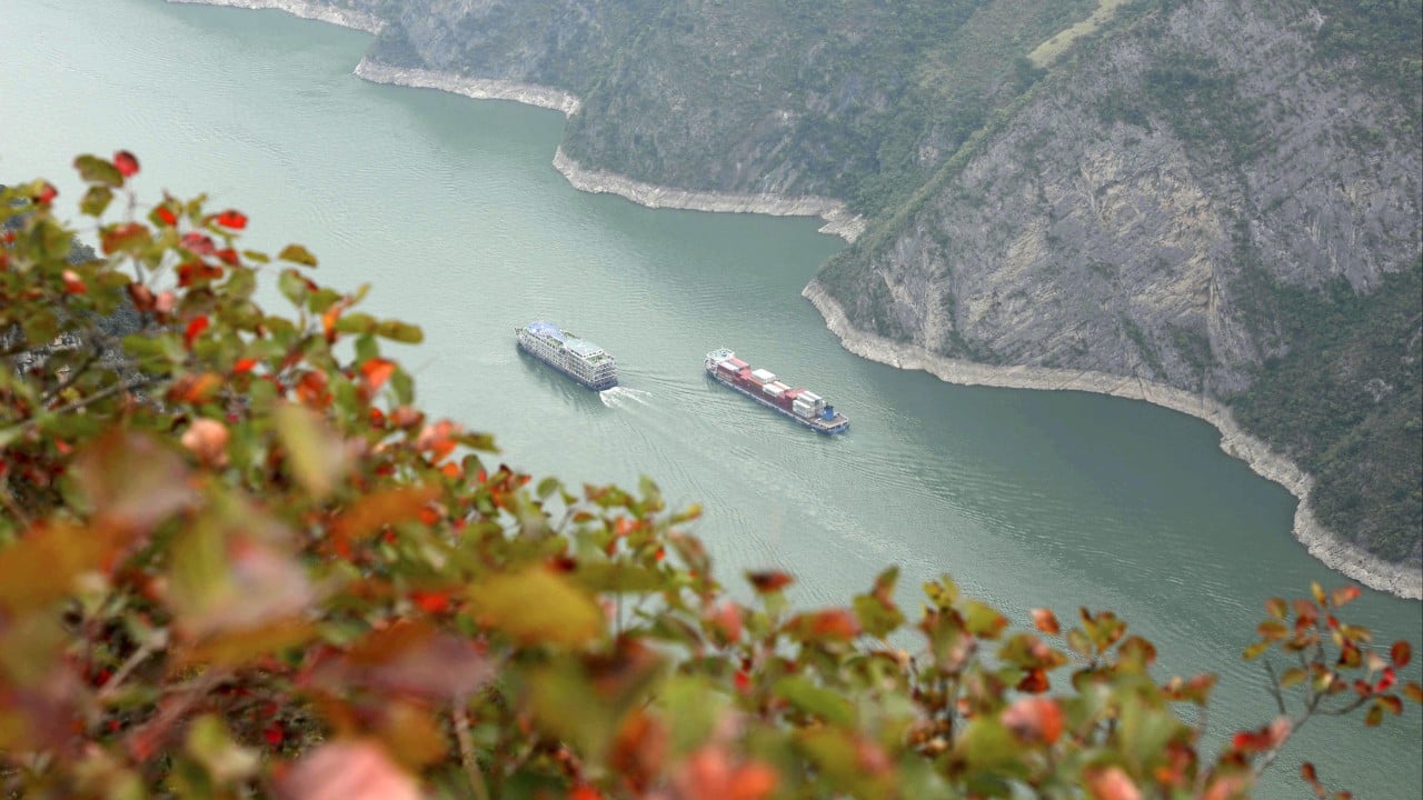 China’s Yangtze River fishing ban brings biomass surge, boosts finless porpoise