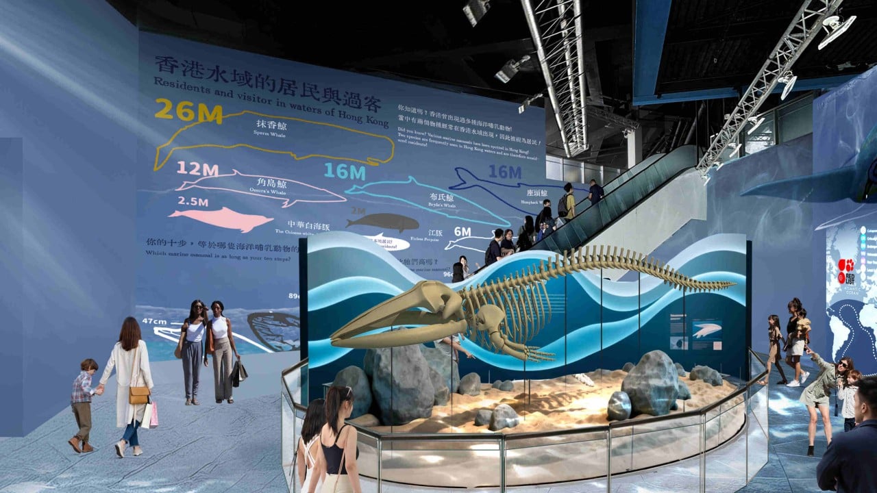 Hong Kong’s Ocean Park to open new conservation centre featuring whale skeleton