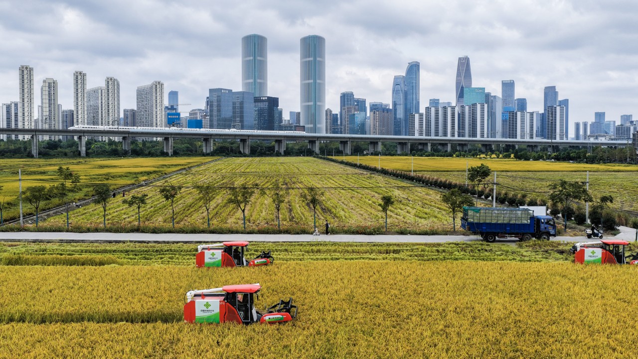 China Aims for Record Grain Harvest Amid Global Turmoil