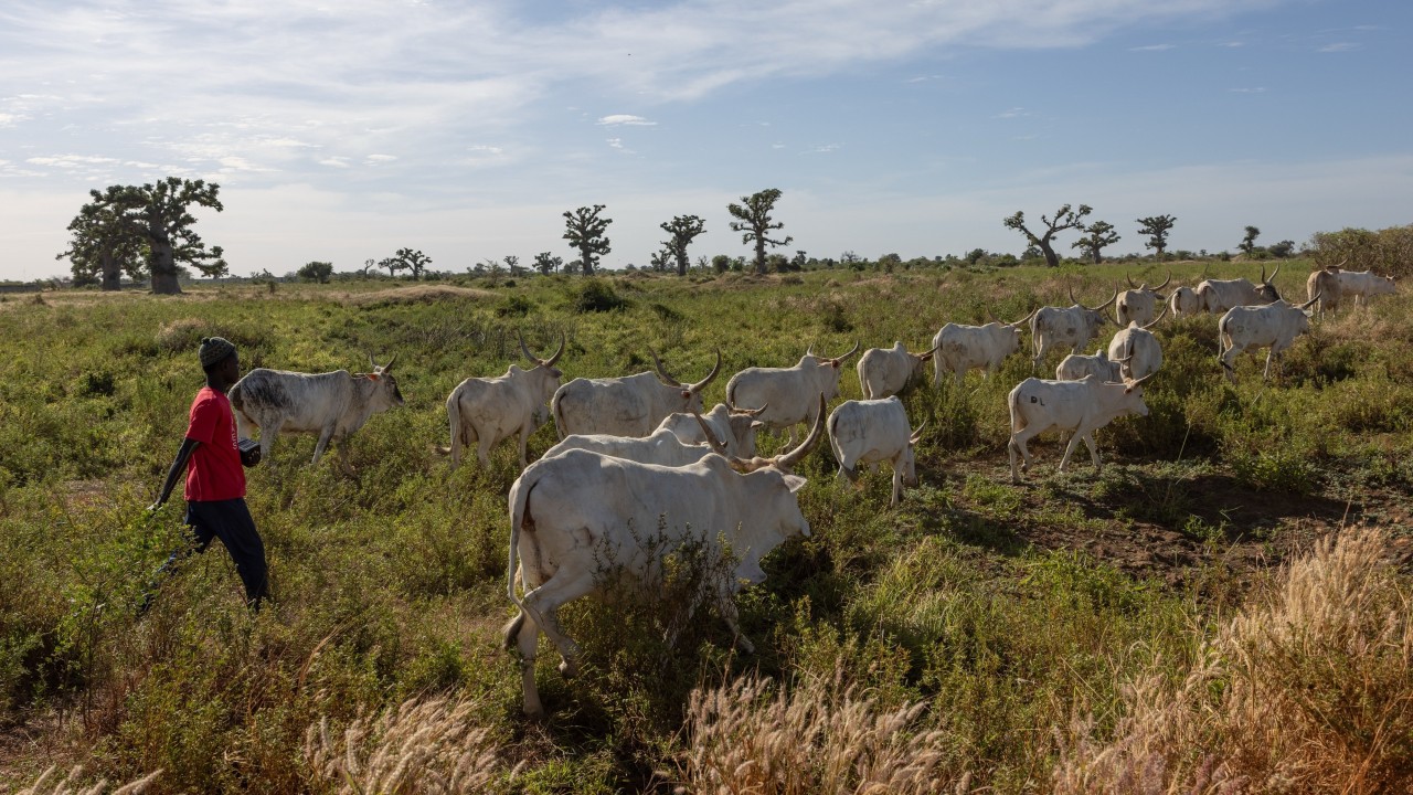 Iran war delivers new inflation stress to African economies emerging from older shocks