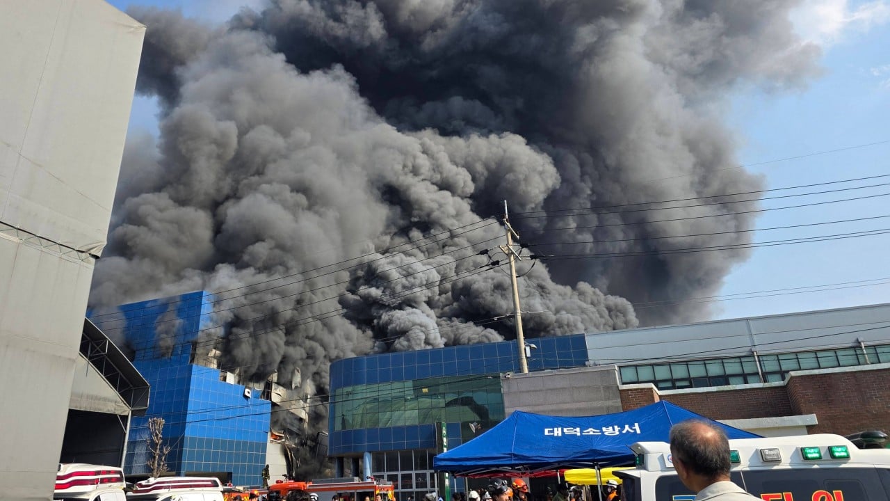 The Industrial Cost of Pali-Pali Structural Failures in South Korean Labor Markets