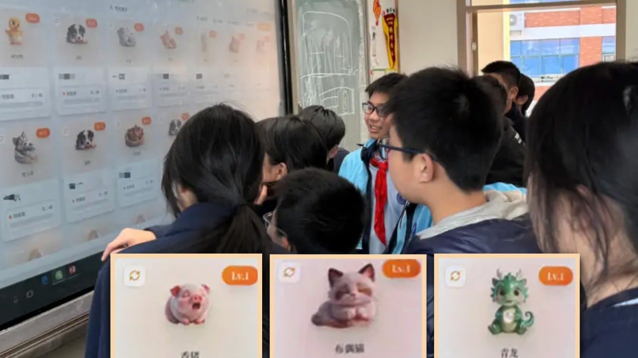 New China school system rewards diligent pupils with ‘digital pets’ to motivate them