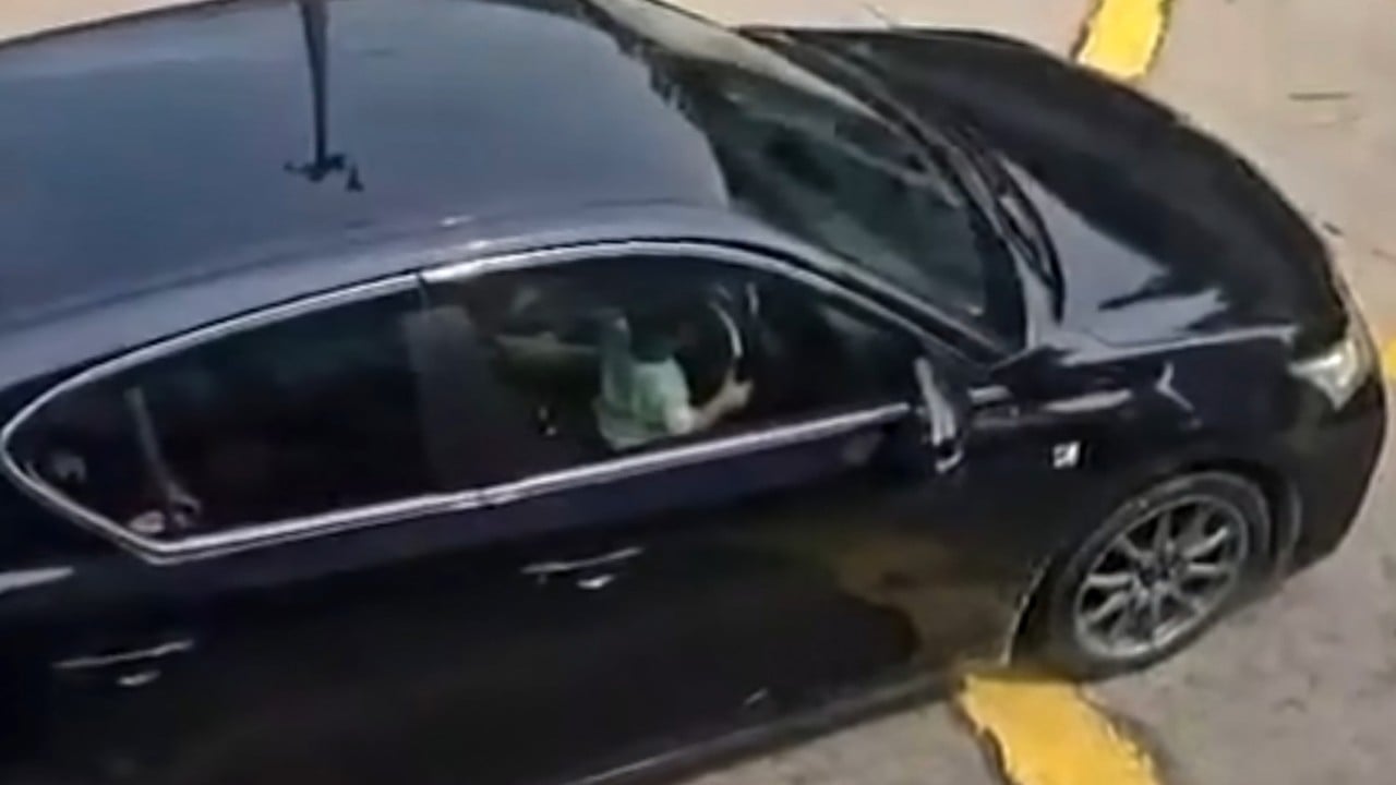 Man arrested after viral video shows child steering car on busy Hong Kong road