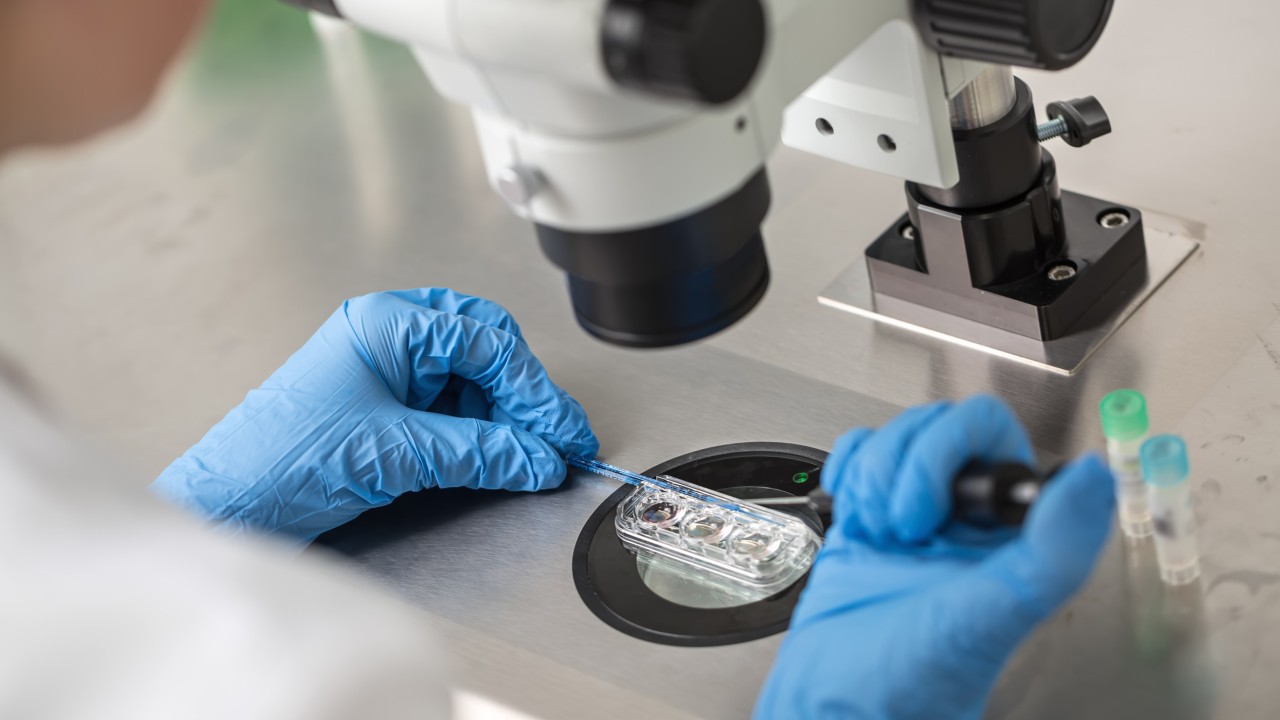 Chinese company to use AI-powered chromosome testing to boost profits and fast track IVF