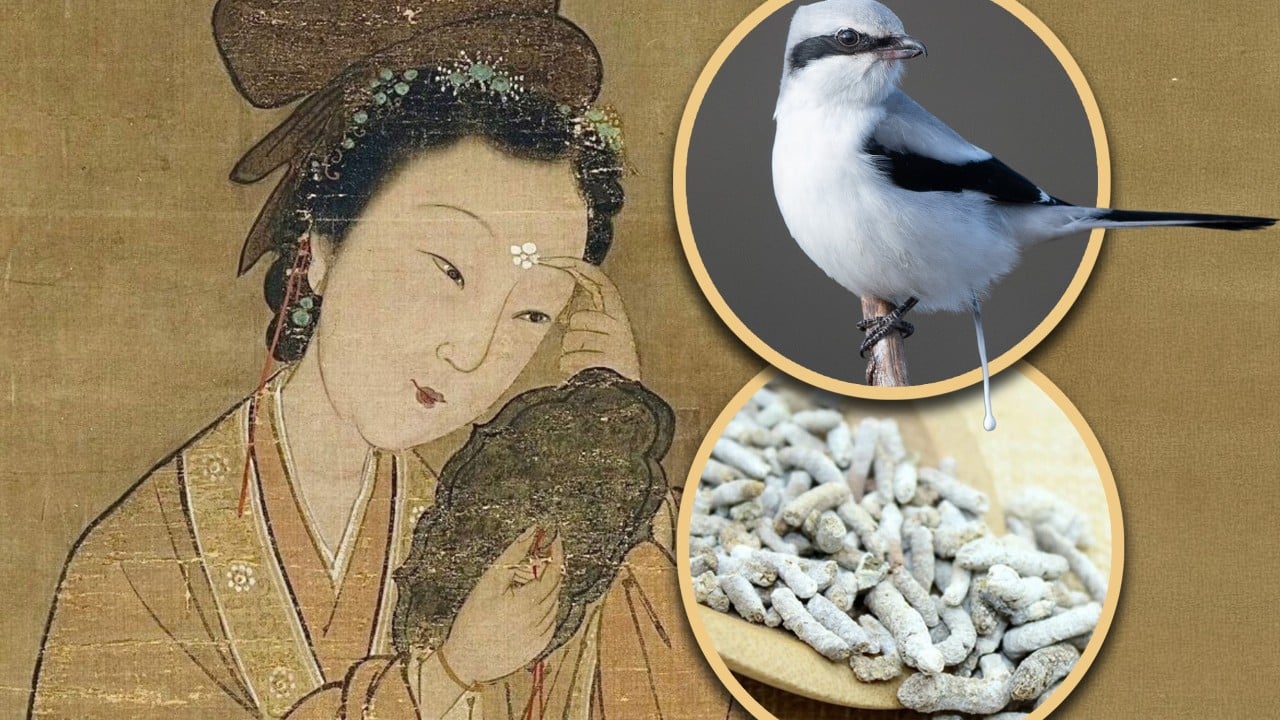 Why Empress Dowager Cixi and people in ancient China used animal faeces in beauty routines